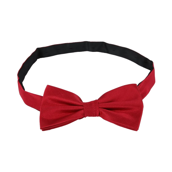 Web C Ties 3