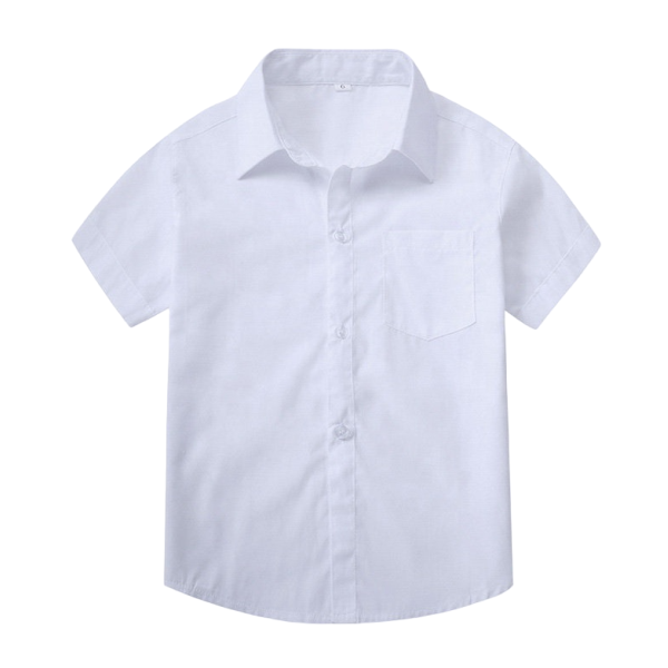 Web SS 2